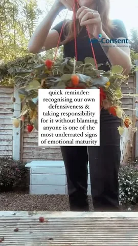 themindgeek Instagram post about Defensiveness and respecting refusal