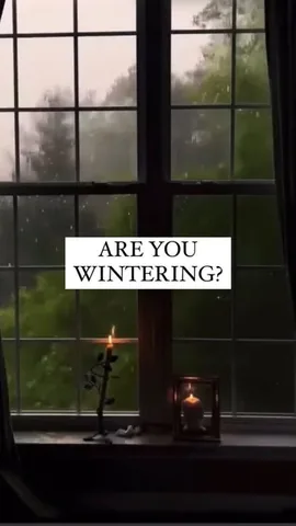 themindgeek Instagram post about Seasonal sleep and winter rest