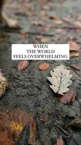 themindgeek Instagram post about Rest and self care