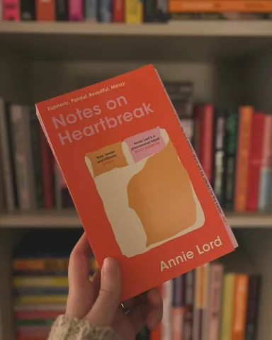 themindgeek Instagram post about Notes on Heartbreak book review