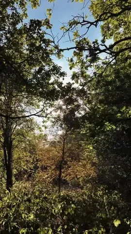 themumlife_styled Instagram post about Family walk