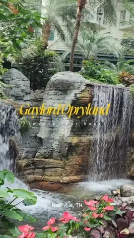 thenonrevfamily Instagram post about Gaylord Opryland resort review