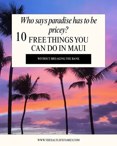 thesaltlifefamily Instagram post about Affordable Maui activities