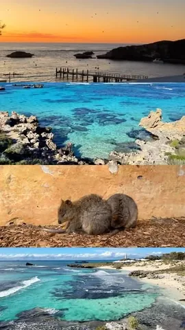 thesimplefolk_ Instagram post about Travel