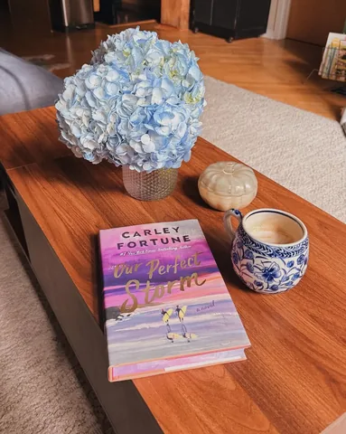 the_spines Instagram post about Book review