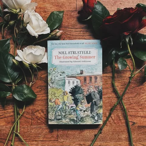 thesunnylibrarian Instagram post about Summer reading list