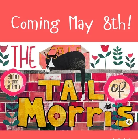 thesunnylibrarian Instagram post about Book launch announcement