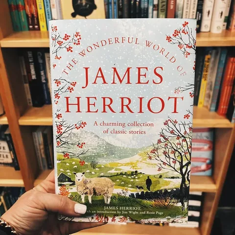thesunnylibrarian Instagram post about Bookstore browsing