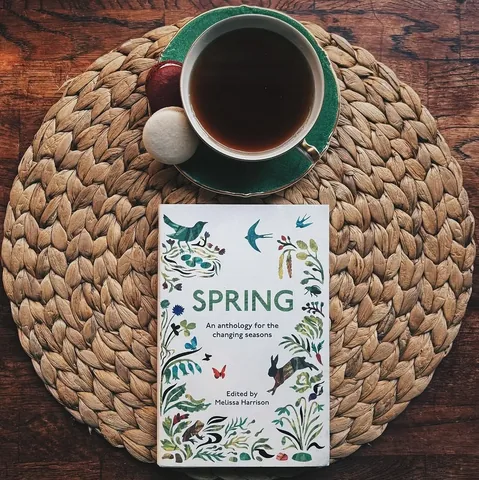 thesunnylibrarian Instagram post about Spring reading mood