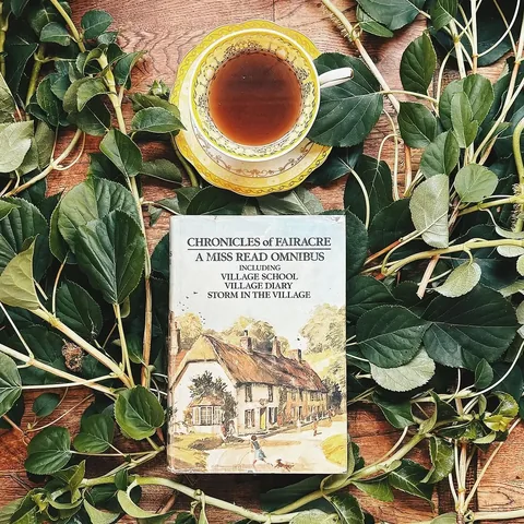 thesunnylibrarian Instagram post about Summer reading and routines