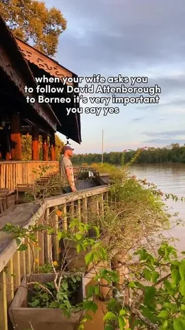 theworldpursuit Instagram post about Borneo orangutan experience