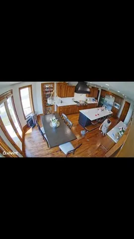 thisishowwebingham Instagram post about Funny cat incident