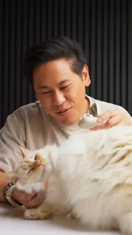 thisistechtoday Instagram post about Pets and Sony LinkBuds Clip