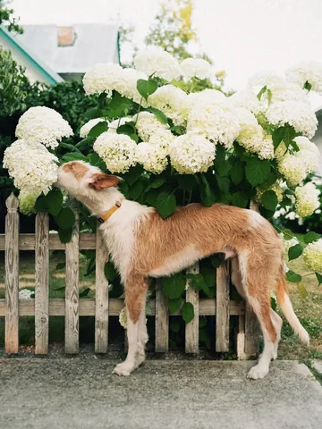 thiswildidea Instagram post about Still photography