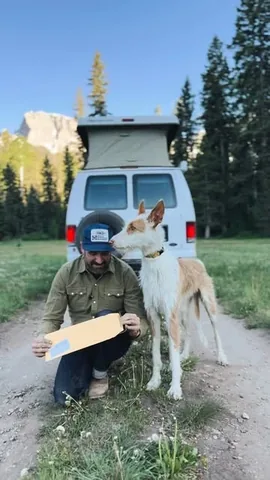 thiswildidea Instagram post about Custom license plates