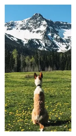 thiswildidea Instagram post about Time and reflection