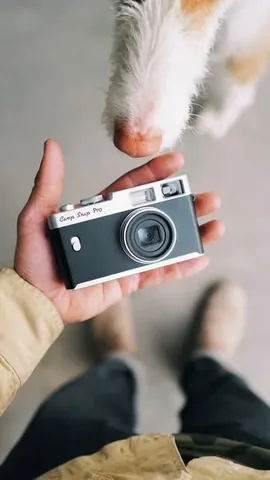 thiswildidea Instagram post about Film photography