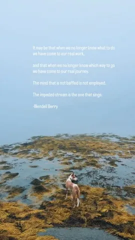 thiswildidea Instagram post about Morning routine