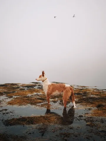 thiswildidea Instagram post about Maine scenery