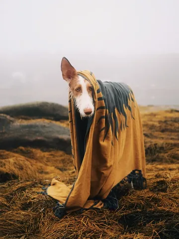 thiswildidea Instagram post about Maine scenery