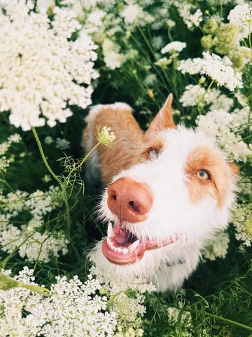 thiswildidea Instagram post about Mindfulness