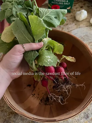 thrift_bee Instagram post about Social media relationship