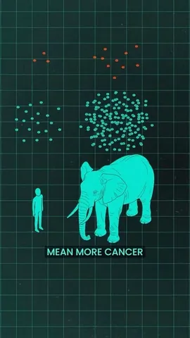 tiffintech Instagram post about Elephant cancer resistance