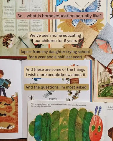 tigerlillyquinn Instagram post about Home education