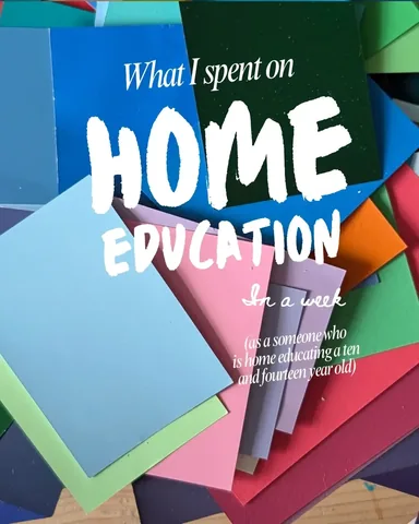 tigerlillyquinn Instagram post about Home education costs