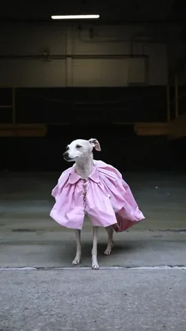 tikatheiggy Instagram post about Fashion event appearance