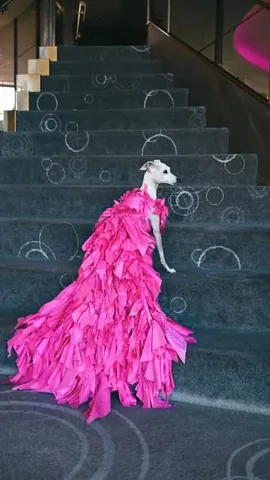 tikatheiggy Instagram post about Fashion awards appearance