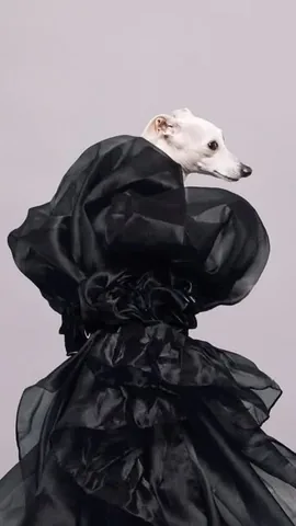 tikatheiggy Instagram post about Celebrity inspired fashion