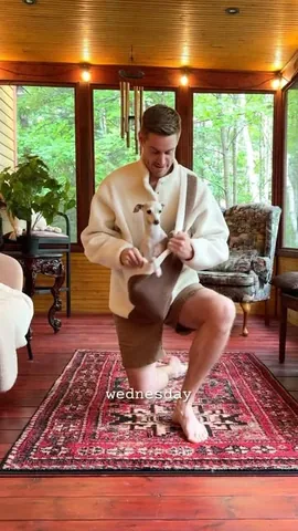 tikatheiggy Instagram post about Pet carrier and clothing showcase