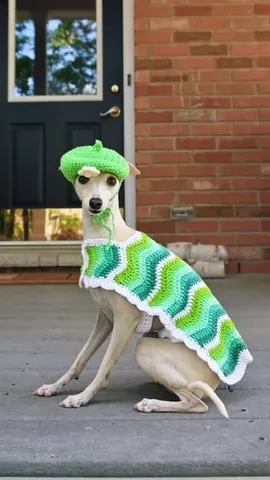 tikatheiggy Instagram post about Pet memorial and clothing tradition