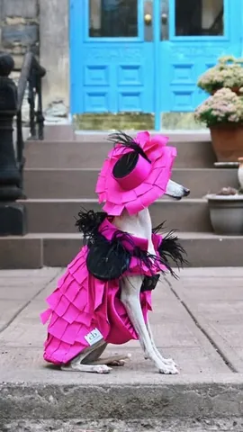 tikatheiggy Instagram post about Fashion week outfits