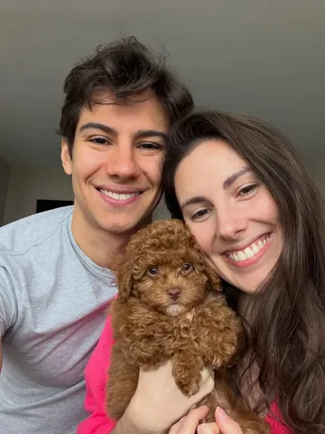 tilerpeck Instagram post about Pet birthday