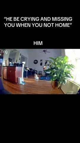Tim Scott Instagram post thumbnail
