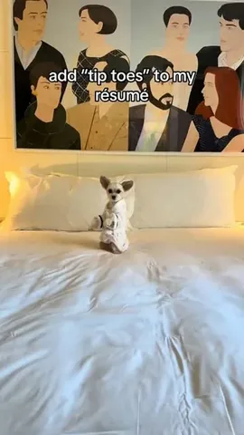tinkerbellethedog Instagram post about Dog talent