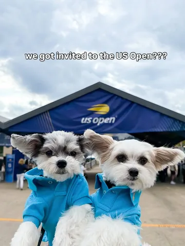 tinkerbellethedog Instagram post about US Open experience