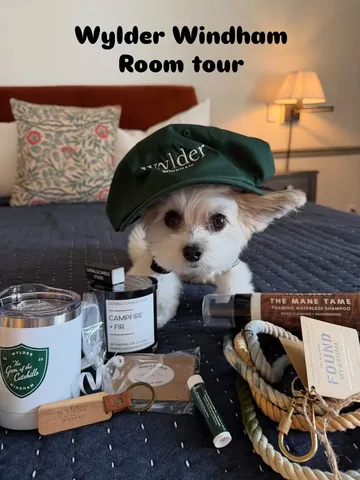 tinkerbellethedog Instagram post about Hotel room tour