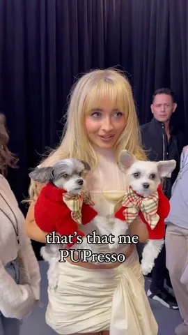 tinkerbellethedog Instagram post about Celebrity appearance