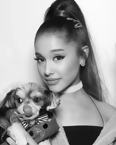 tinkerbellethedog Instagram post about Dog personality
