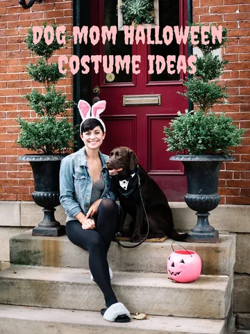 tmistick Instagram post about Dog Halloween costumes
