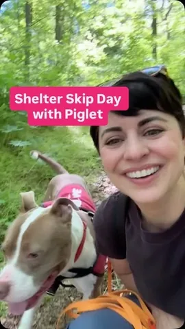 tmistick Instagram post about Shelter dog adoption