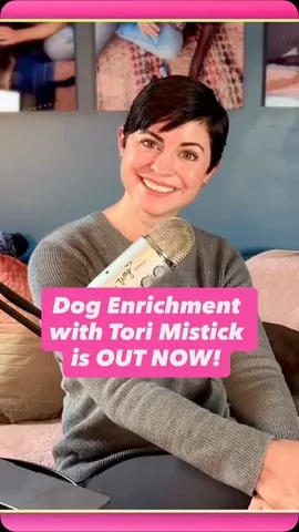 tmistick Instagram post about Dog enrichment education