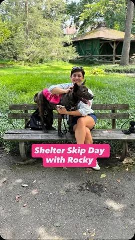 tmistick Instagram post about Shelter dog adoption