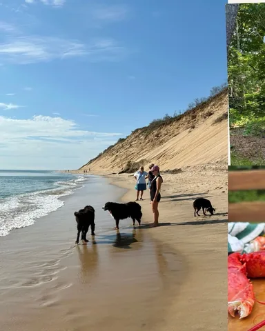 tmistick Instagram post about Cape Cod vacation
