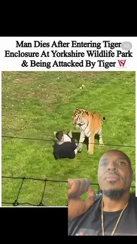 tonybaker Instagram post about Buffalo reaction