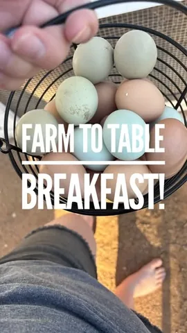 tori__bissett Instagram post about Farm fresh eggs