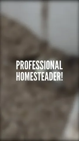 tori__bissett Instagram post about Homestead lifestyle